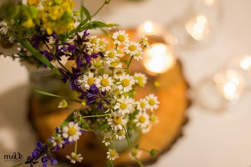 Cerimonie: Wedding e Battesimi
